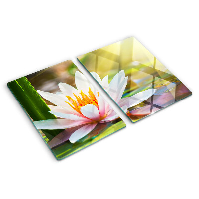 Snijplanken glas Waterlelie in het zonlicht