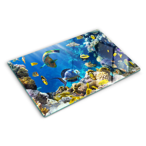 Snijplanken van glas De onderwaterwereld van het koraalrif