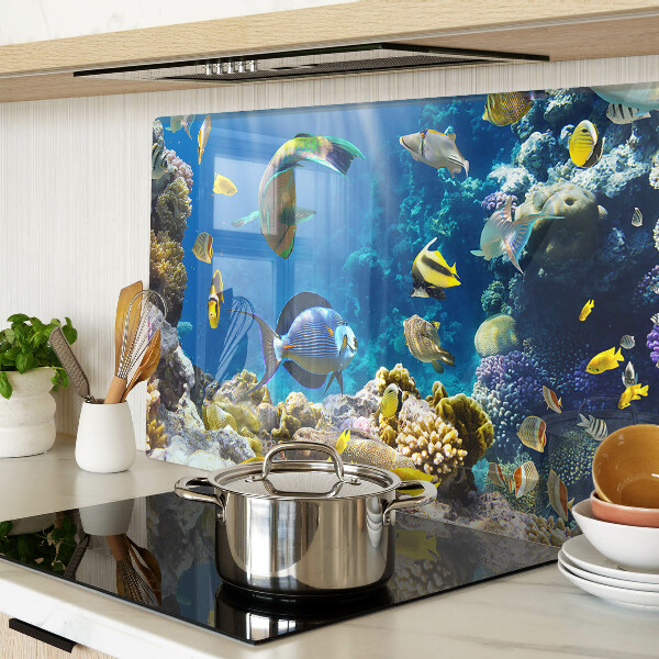 Snijplanken van glas De onderwaterwereld van het koraalrif