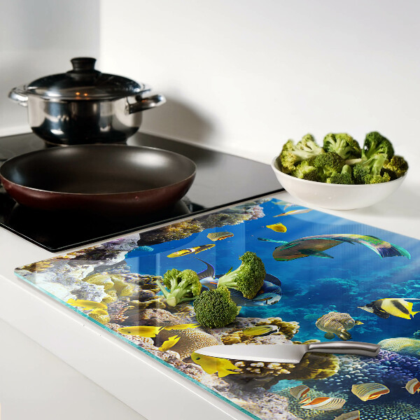 Snijplanken van glas De onderwaterwereld van het koraalrif