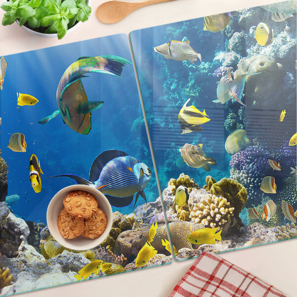 Snijplanken van glas De onderwaterwereld van het koraalrif