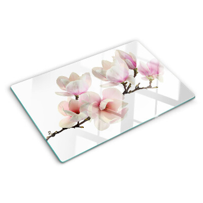 Snijplanken van glas Magnoliabloemen aan een tak