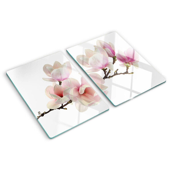 Szklana deska kuchenna Kwiaty magnolii na gałęzi