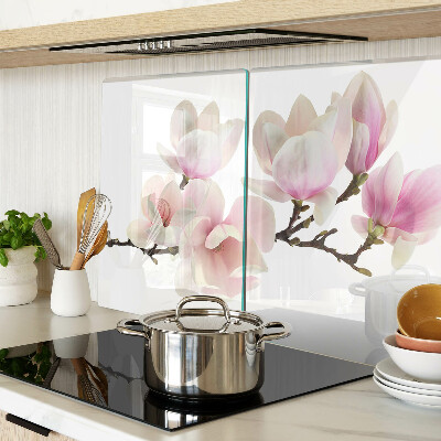 Snijplanken van glas Magnoliabloemen aan een tak