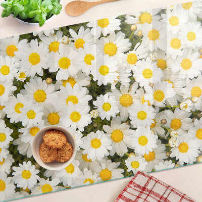 Snijplanken van glas Madeliefjes op een witte achtergrond