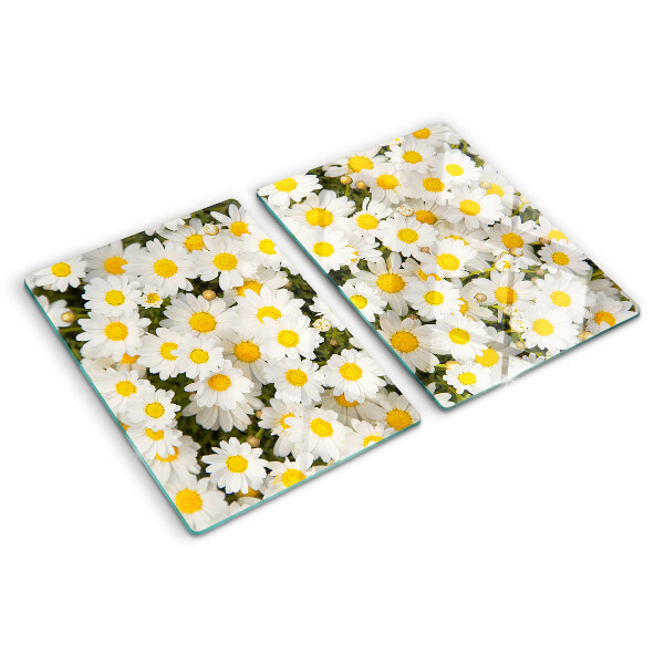 Szklana deska kuchenna Stokrotki na tle białym