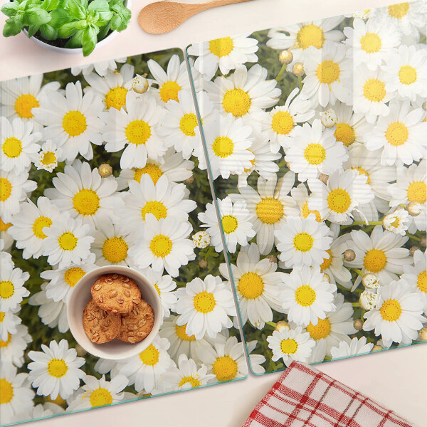 Snijplanken van glas Madeliefjes op een witte achtergrond