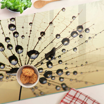 Snijplanken glas Waterdruppels op een spinnenweb