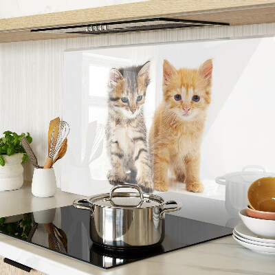 Szklana deska do krojenia Koty na białym tle