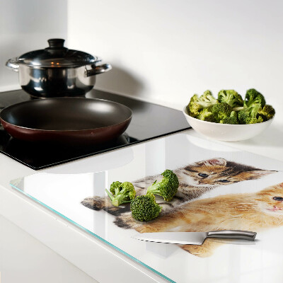 Glazen snijplanken Katten op een witte achtergrond