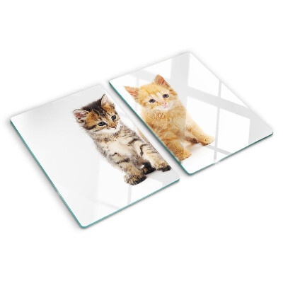 Glazen snijplanken Katten op een witte achtergrond