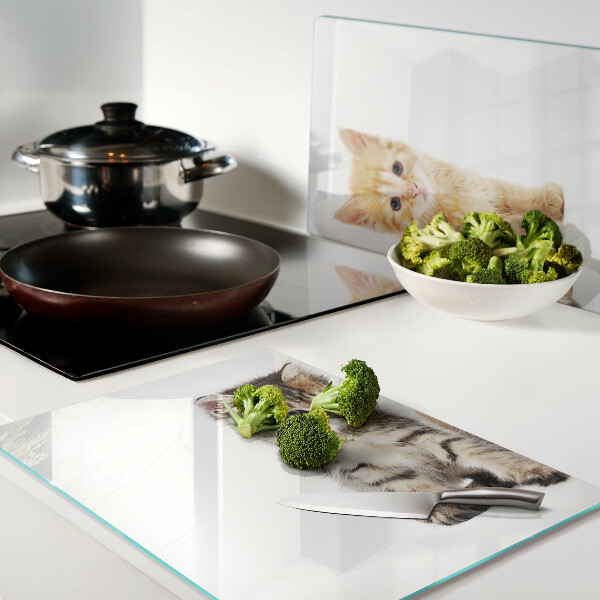 Szklana deska do krojenia Koty na białym tle