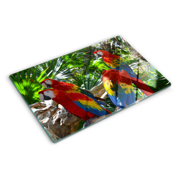 Snijplanken van glas Papegaaien in een tropische omgeving