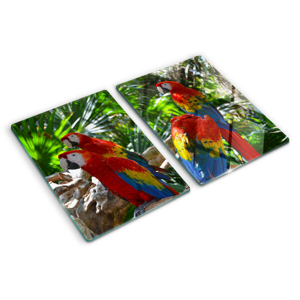 Snijplanken van glas Papegaaien in een tropische omgeving