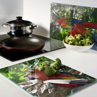 Snijplanken van glas Papegaaien in een tropische omgeving