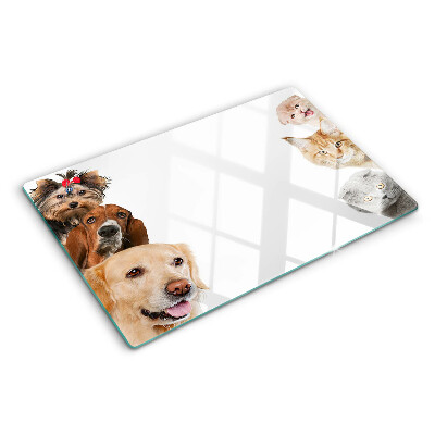 Szklana deska kuchenna Psy i koty w różnych pozach