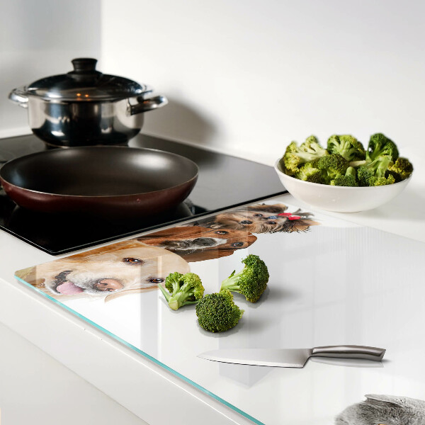 Szklana deska kuchenna Psy i koty w różnych pozach