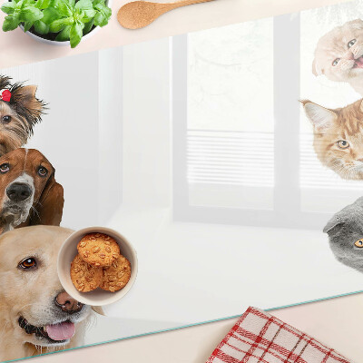 Snijplanken van glas Honden en katten in verschillende poses