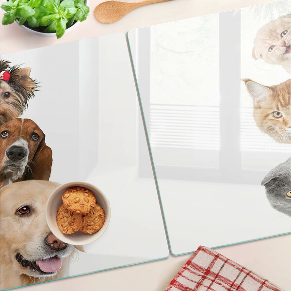 Snijplanken van glas Honden en katten in verschillende poses