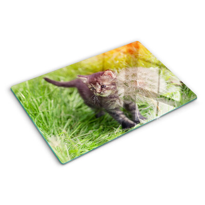 Snijplanken van glas Kat op het gras