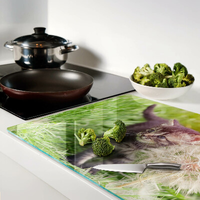 Snijplanken van glas Kat op het gras