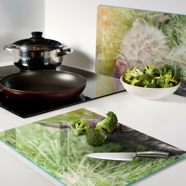 Snijplanken van glas Kat op het gras