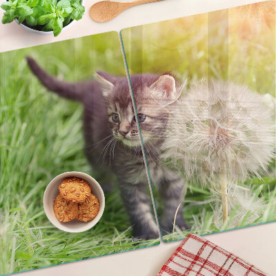 Snijplanken van glas Kat op het gras