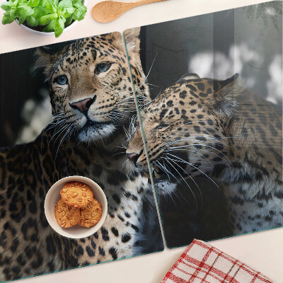 Szklana deska kuchenna Gepardy na ciemnym tle