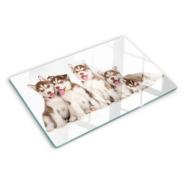 Szklana deska kuchenna Szczeniaki husky