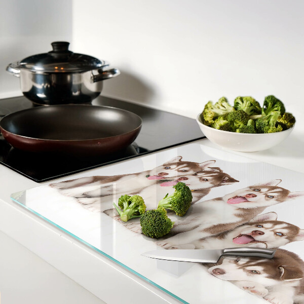 Szklana deska kuchenna Szczeniaki husky