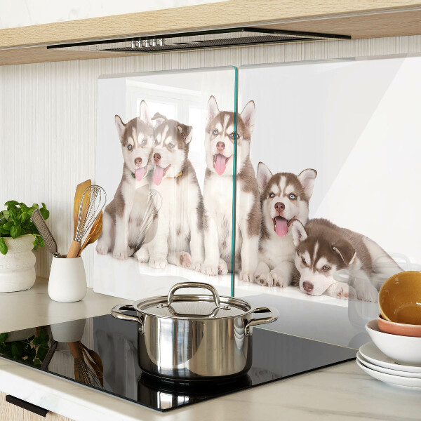 Snijplanken van glas Husky-puppy's