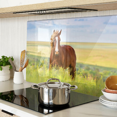 Szklana deska kuchenna Koń na łące
