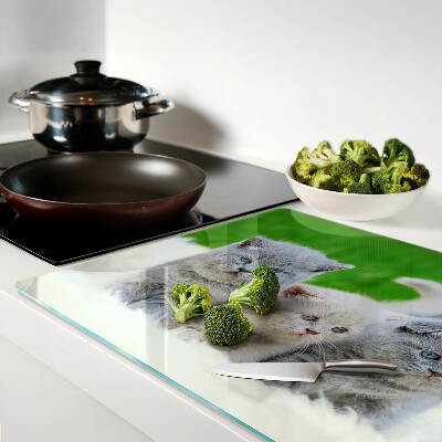 Szklana deska do krojenia Kocięta na zielonym tle