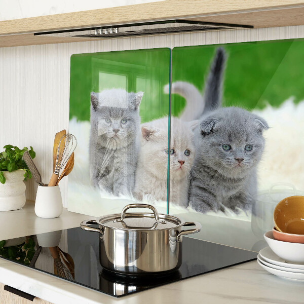 Snijplanken van glas Kittens op een groene achtergrond