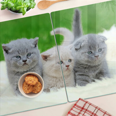 Snijplanken van glas Kittens op een groene achtergrond