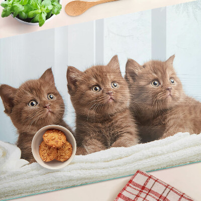 Snijplanken glas Drie bruine katten
