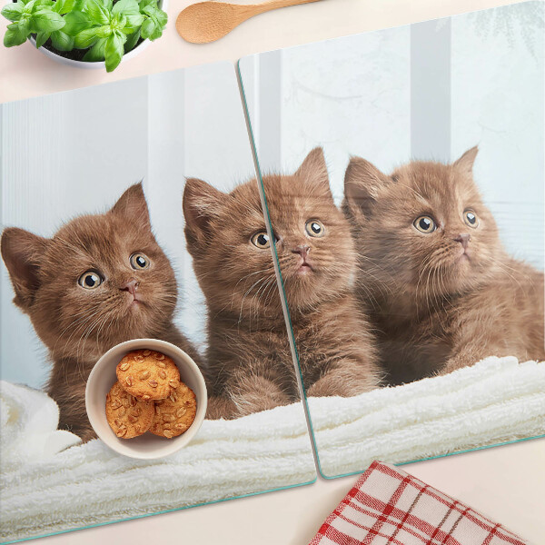 Snijplanken glas Drie bruine katten