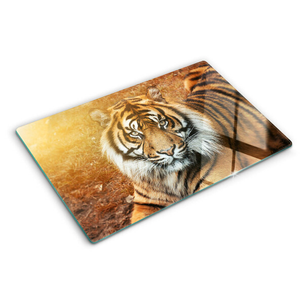 Szklana deska do krojenia Tygrys w promieniach słońca