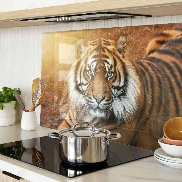 Szklana deska do krojenia Tygrys w promieniach słońca