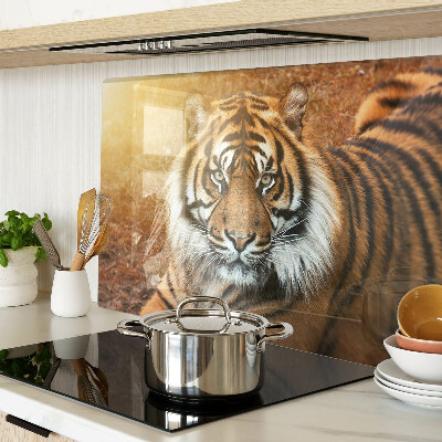 Snijplanken van glas Tijger in de zonnestralen