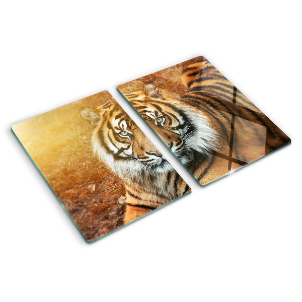 Snijplanken van glas Tijger in de zonnestralen