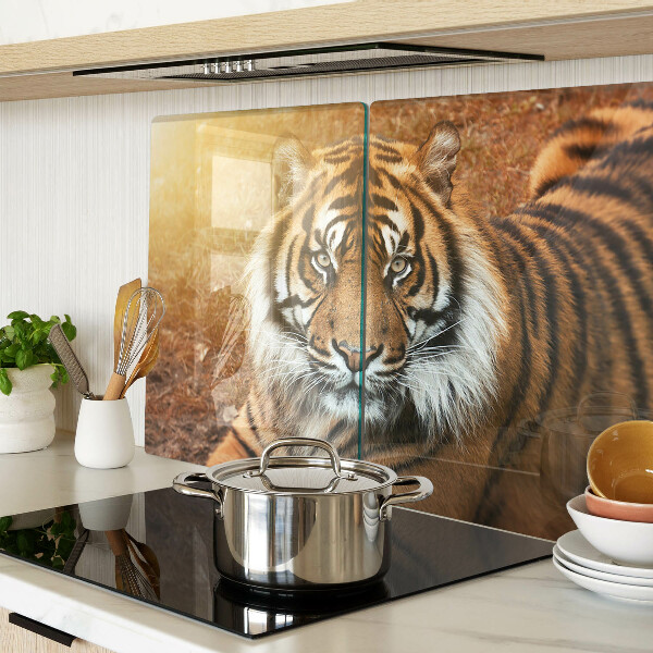 Snijplanken van glas Tijger in de zonnestralen