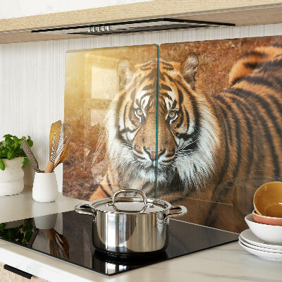 Snijplanken van glas Tijger in de zonnestralen