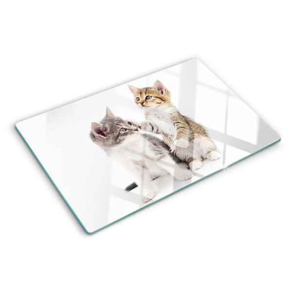 Snijplanken van glas Katten op een witte achtergrond