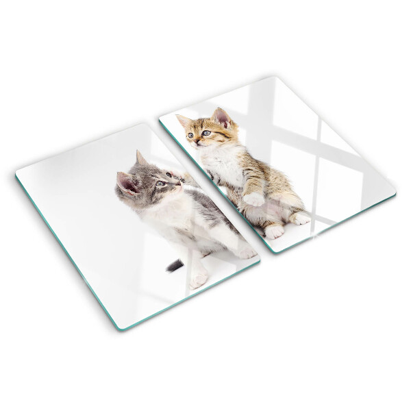 Snijplanken van glas Katten op een witte achtergrond