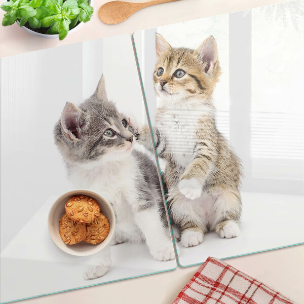 Deska kuchenna szklana Koty na białym tle