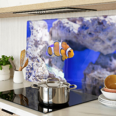 Snijplanken glas Clownvissen tussen de rotsen