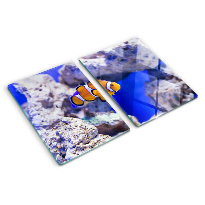 Snijplanken glas Clownvissen tussen de rotsen