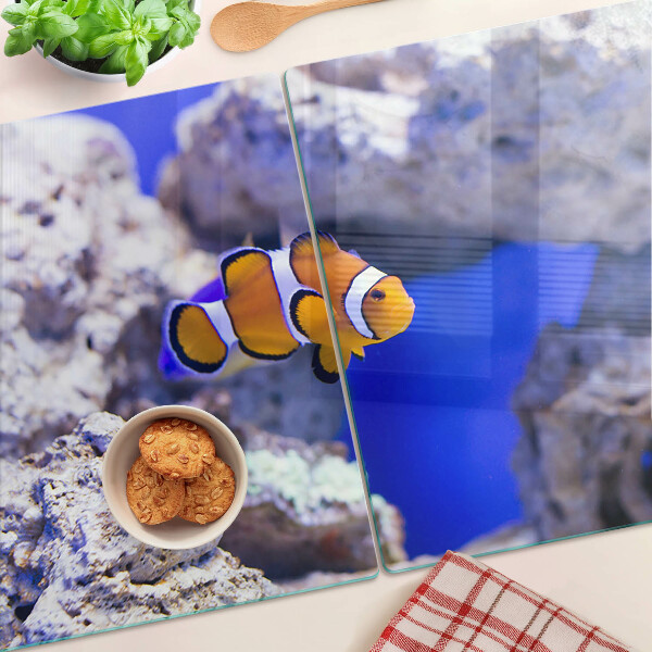 Snijplanken glas Clownvissen tussen de rotsen