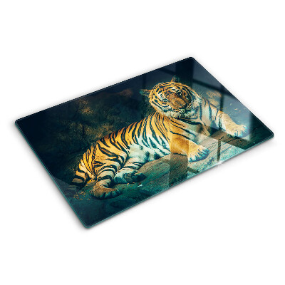 Snijplanken van glas Tijger liggend op de rotsen